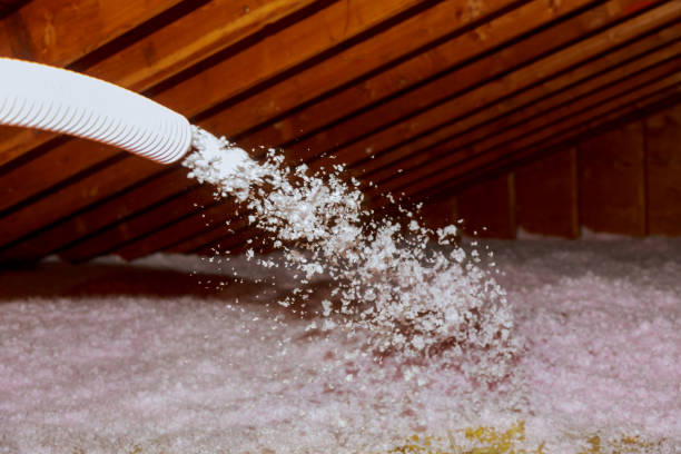 Best Insulation Maintenance and Repair in Tunnel Hill, GA